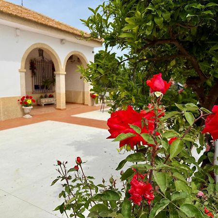 La Casa Del Flamenco Villa Cañada del Rabadán Eksteriør billede