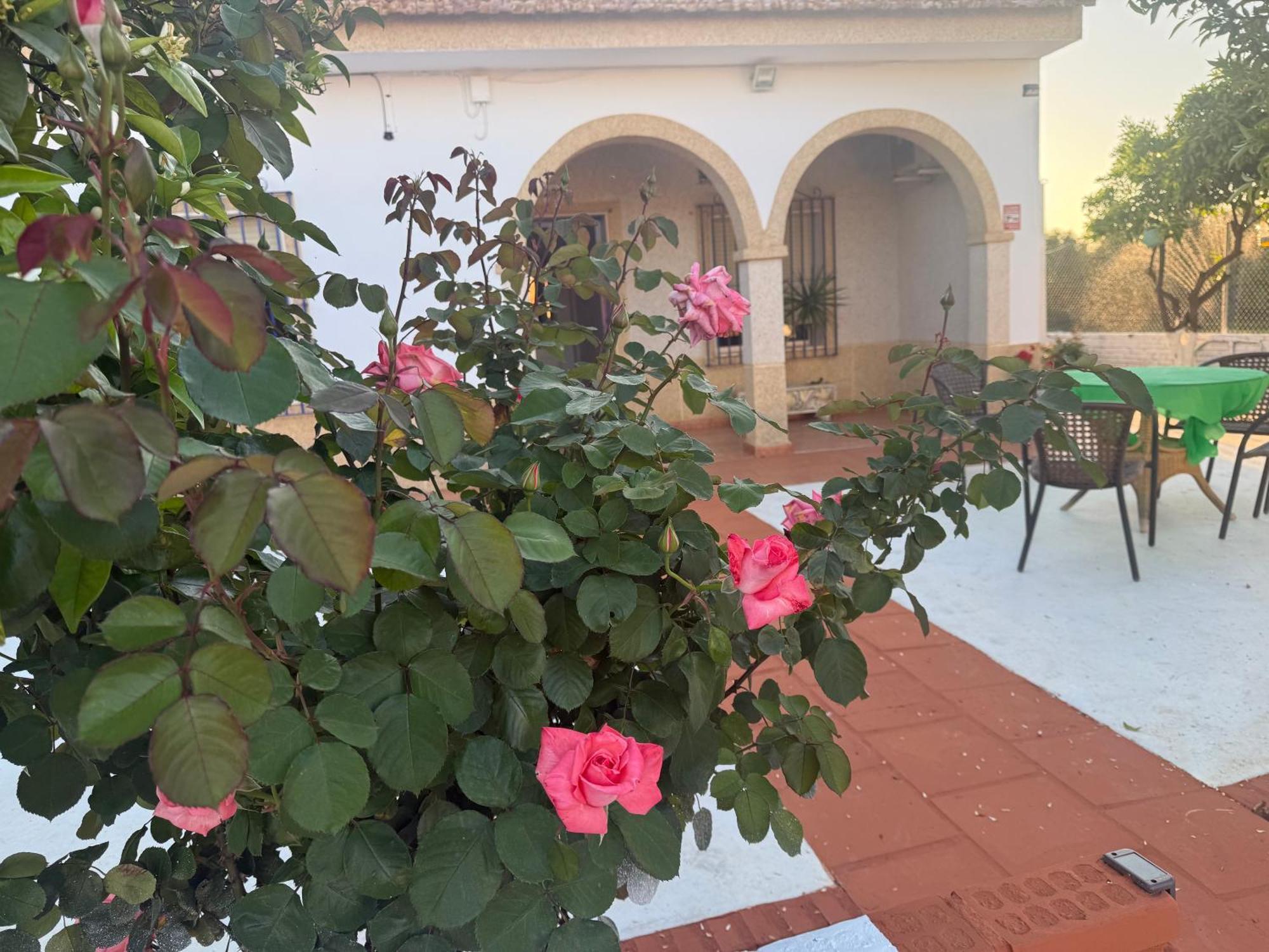 La Casa Del Flamenco Villa Cañada del Rabadán Eksteriør billede