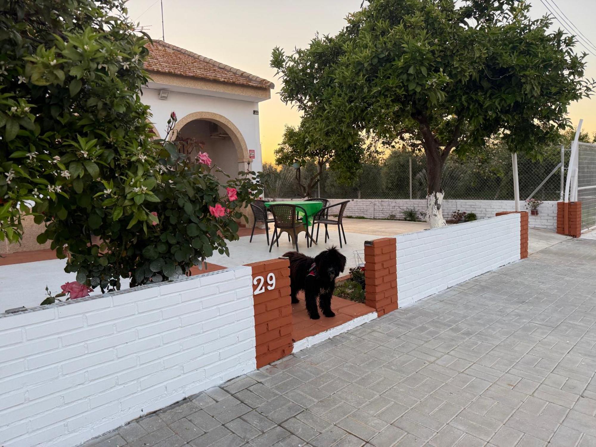 La Casa Del Flamenco Villa Cañada del Rabadán Eksteriør billede