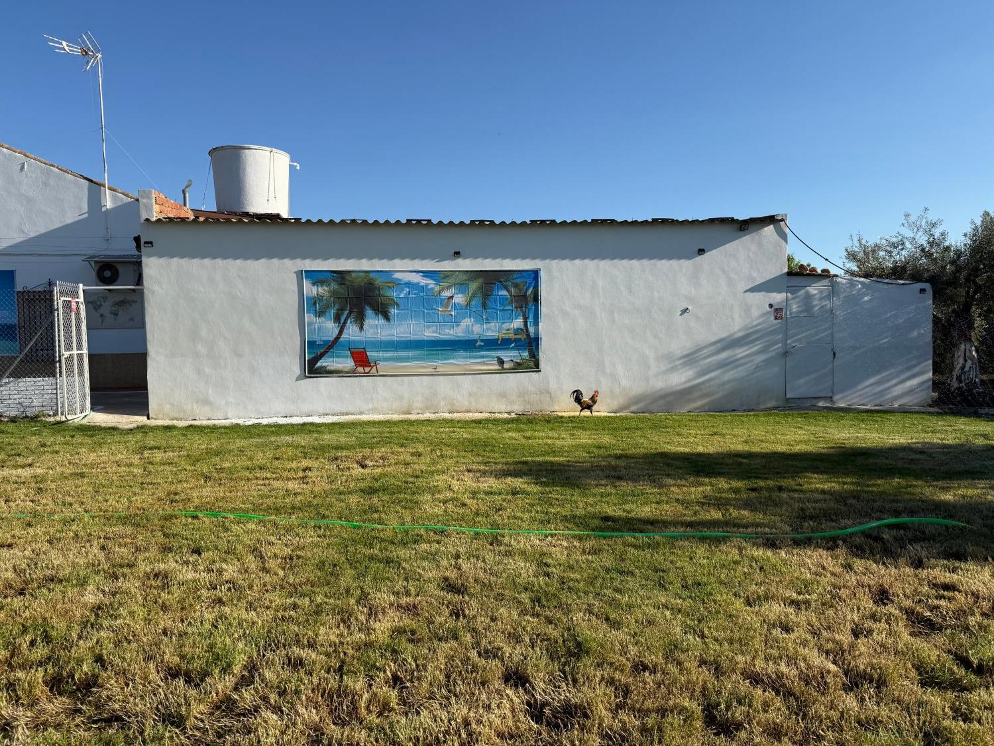 La Casa Del Flamenco Villa Cañada del Rabadán Eksteriør billede