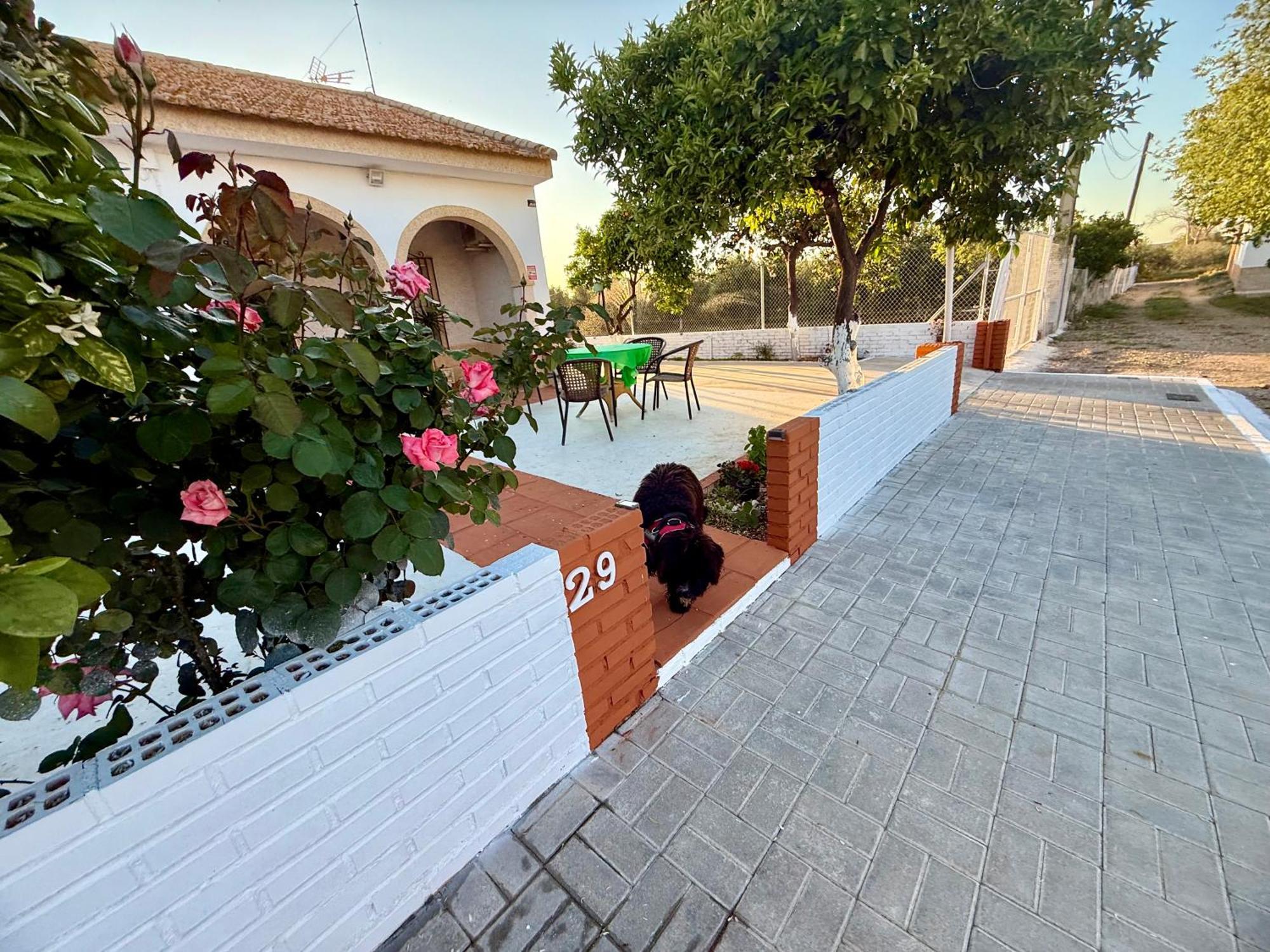 La Casa Del Flamenco Villa Cañada del Rabadán Eksteriør billede