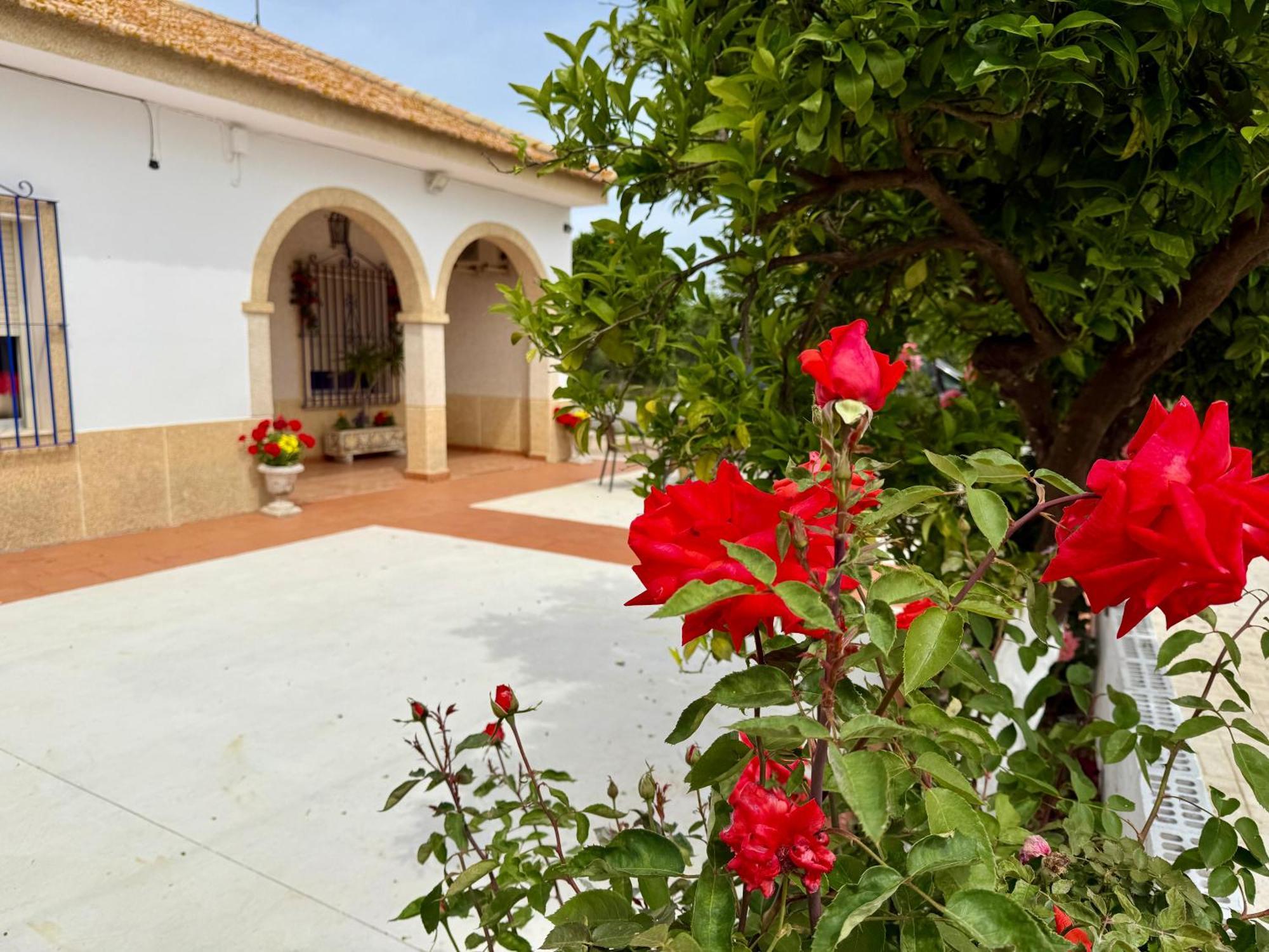 La Casa Del Flamenco Villa Cañada del Rabadán Eksteriør billede