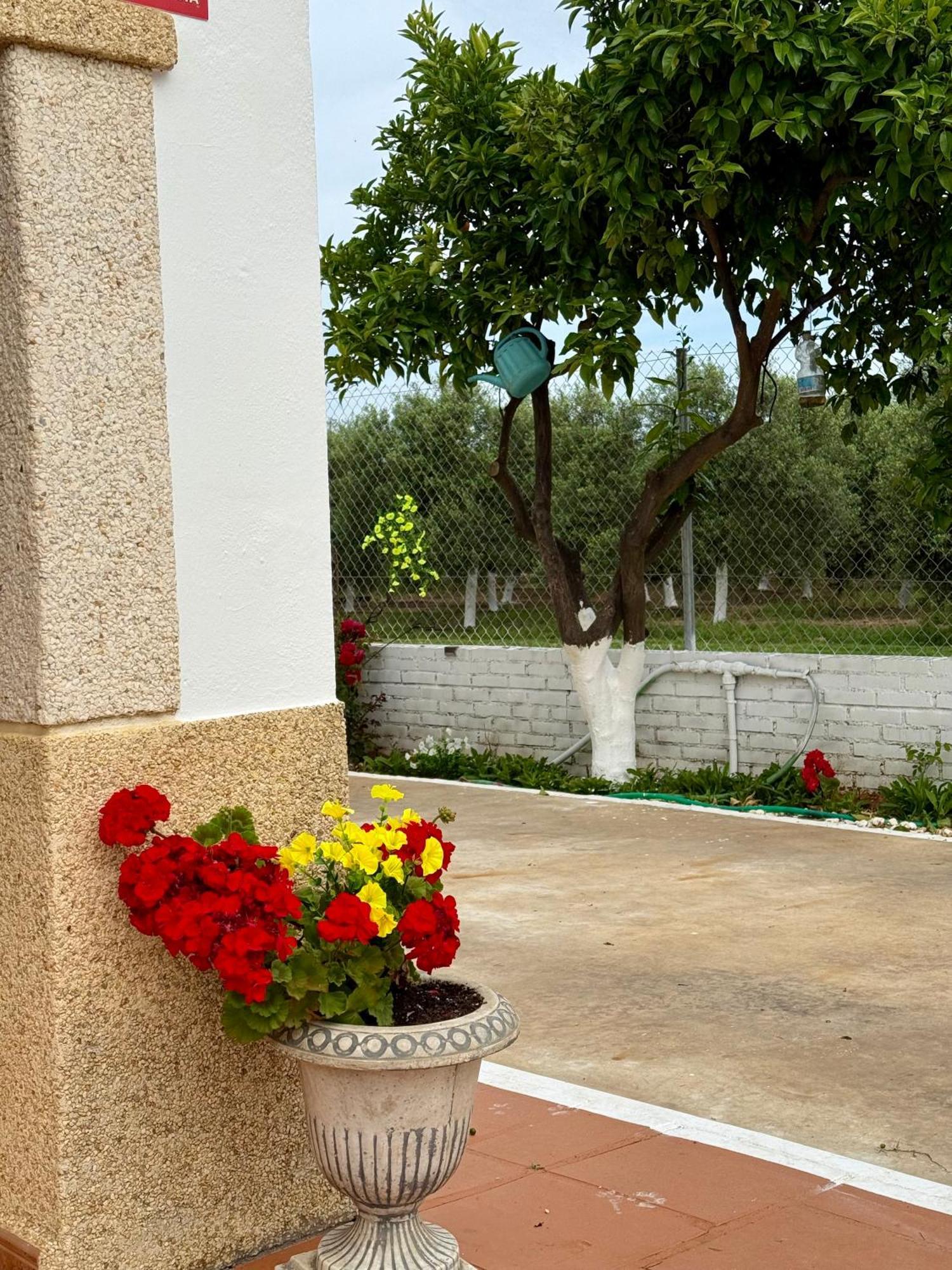 La Casa Del Flamenco Villa Cañada del Rabadán Eksteriør billede